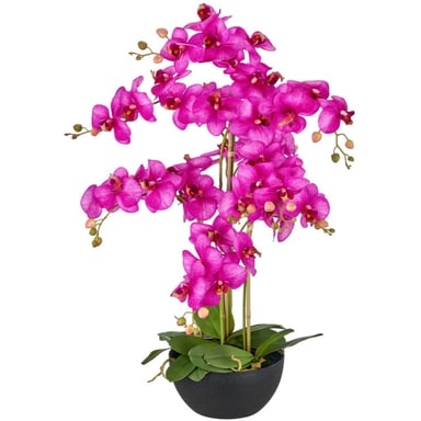 Kopu ® künstliche Orchidee 80 cm – schwarze Schale Phalaenopsis