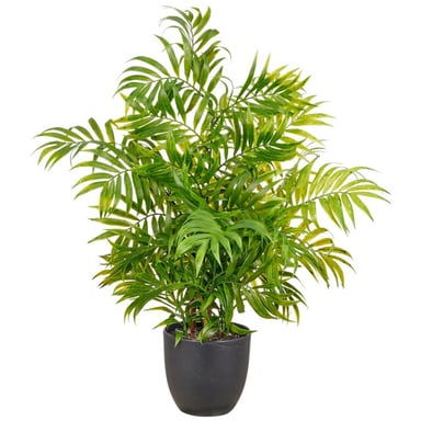 Kopu ® Kunstpflanze Bergpalme 60 cm schwarzer Topf Chamaedorea