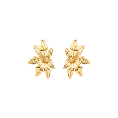 Luxenter-Ohrringe aus 18 Karat Gelbgold - Aucell