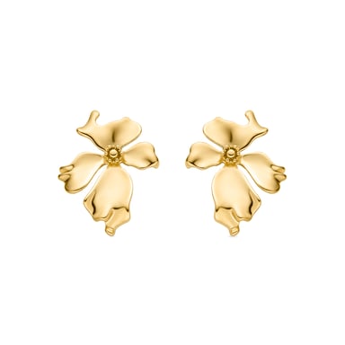 Luxenter-Ohrringe aus 18 Karat Gelbgold - Haiqua