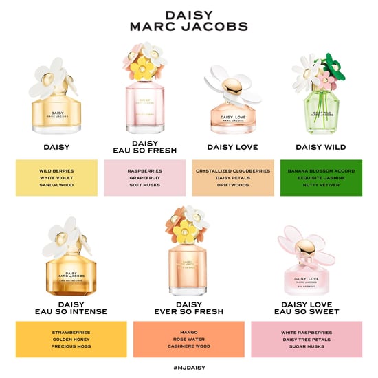 Marc Jacobs Daisy Wild Eau de Parfum für Frauen - Intensiver blumiger Duft 100ml - Image 4