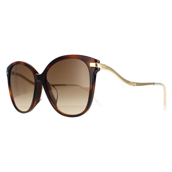 Jimmy Choo CatEye Womens Glitter Havana Brown Gradient Peg/F/S