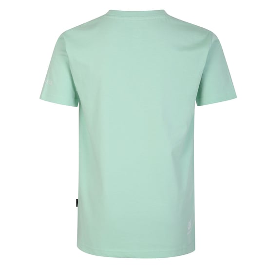 Dare 2B Childrens/Kids Trailblazer Leopard T-Shirt (Grayed Jade)