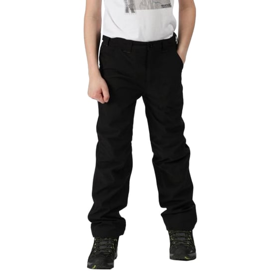 Regatta Great Outdoors Kinder/Kinder Dayhike II Stretch-Hose (Schwarz) - Image 1