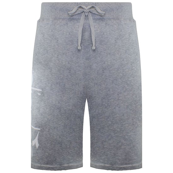 Diadora Logo Herren-Shorts in Grau - Image 1