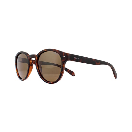 Lunettes De Soleil Polaroid 6042/S 086 SP Sombre Havana Bronze Polarisé - Image 2