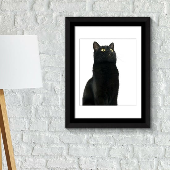 Combo of Framed Art 2in1 Cute Black Cat Poster Framed Photo, Framed Art