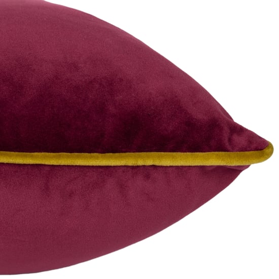 Paoletti Meridian Piped Velvet Feather Filled Cushion