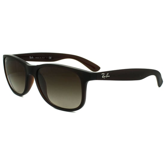Ray-Ban Sunglasses Andy 4202 607313 Matt Brown Brown Gradient