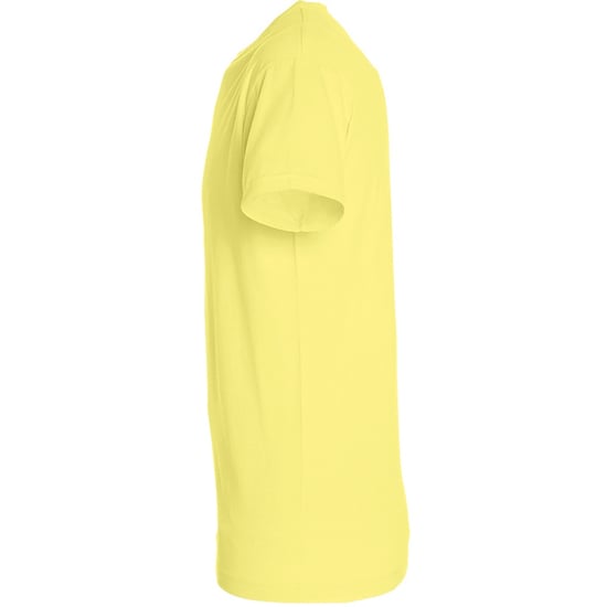 SOLS Mens Regent T-Shirt mit kurzen Ärmeln (blassgelb) - Image 3