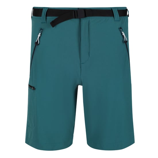 Regatta - "Xert III" Shorts für Herren (Pazifikgrün) - Image 1