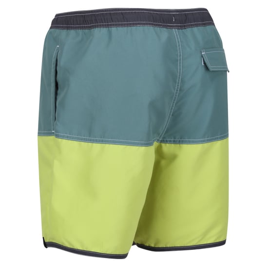 Regatta Mens Benicio Quick Drying Adjustable Swimming Shorts