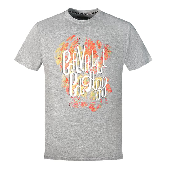 Cavalli Class Kühnes Logo Graues T-Shirt - Image 1