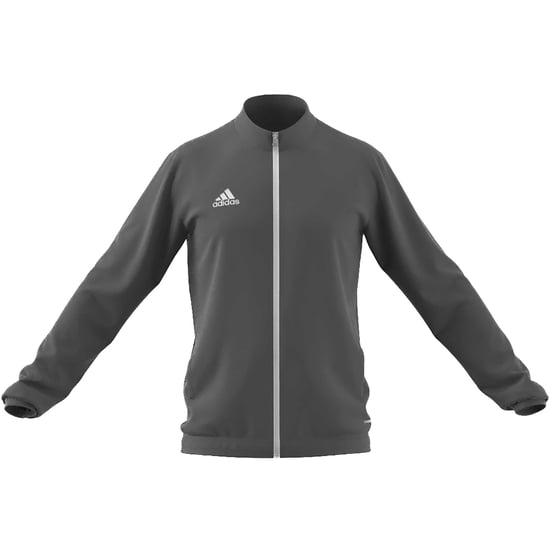 Adidas Sport Ent22 Tegrfo Graues Sweatshirt - Image 1