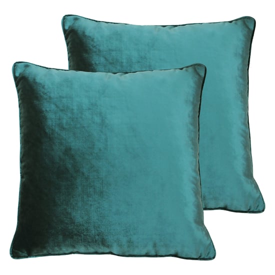 Luxe Samt Kissen (Zwillingspack) - Image 1