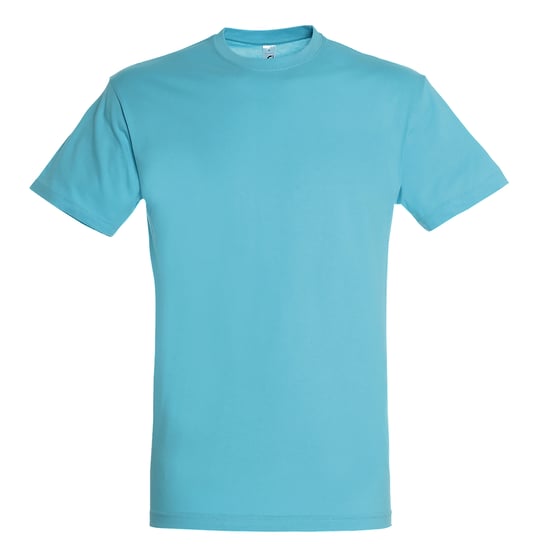 SOLS Herren Regent T-Shirt mit kurzen Ärmeln (Aqua) - Image 1