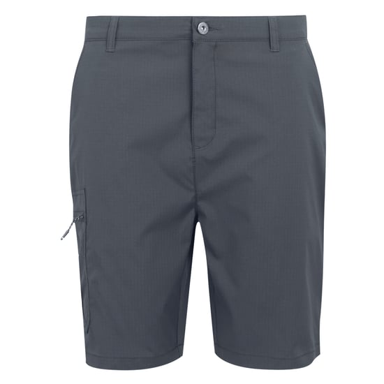 Regatta - "Dalry" Shorts für Herren (Mittelgrau) - Image 1