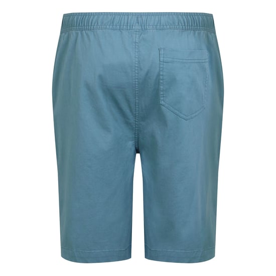 Regatta - "Aldan" Shorts für Herren (Kronenblau) - Image 2