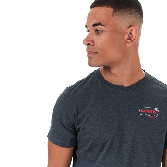 Men's Levis Graphic Crew Neck T-Shirt in Grey