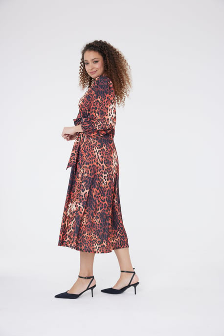 Bella Animal Print Dress