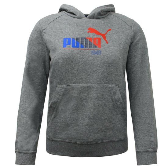 Puma TD Graphic Kinder-Hoodie, Grau - Image 1