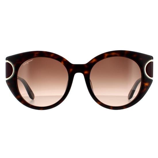 Salvatore Ferragamo Cat Eye Womens Schildpatt Braun Gradient Sonnenbrillen - Image 1