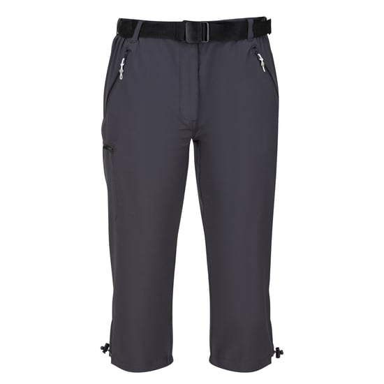 Regatta Womens/Ladies Xert Stretch Casual Shorts (Seal Grey)