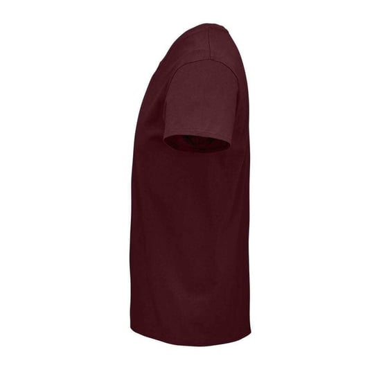 SOLS Unisex Pioneer Bio T-Shirt für Erwachsene (Burgund) - Image 3