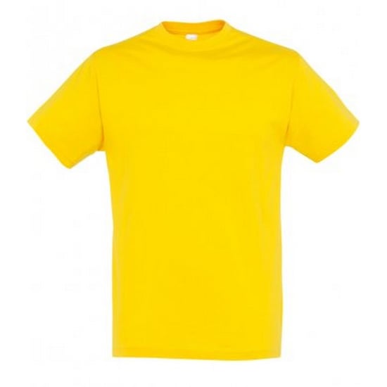 SOLS Herren Regent T-Shirt mit kurzen Ärmeln (Gold) - Image 1