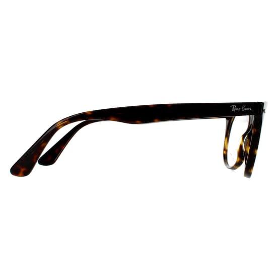 Ray-Ban Round Mens Havana Glasses Frames