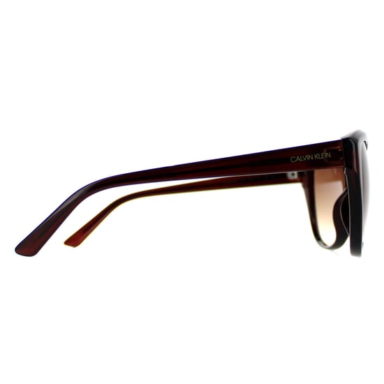 Calvin Klein Cat Eye Womens Crystal Brown Brown CK19536S