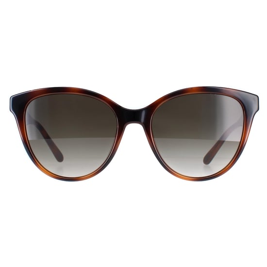 Salvatore Ferragamo Cat Eye Womens Tortoise Grey Gradient SF1073S