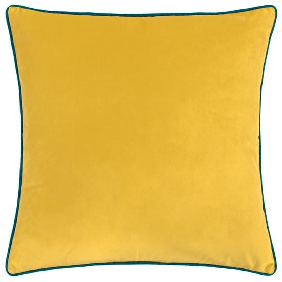 Paoletti Meridian Piped Velvet Feather Filled Cushion