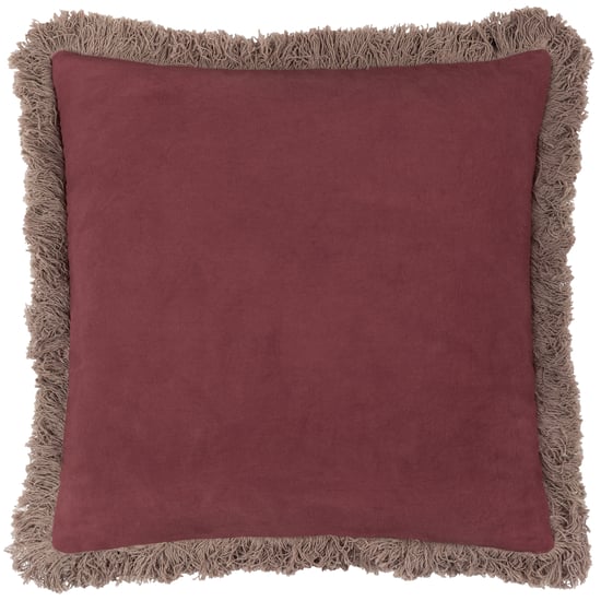 Wylder Mirrored Toucan Embroidered Feather Rich Cushion