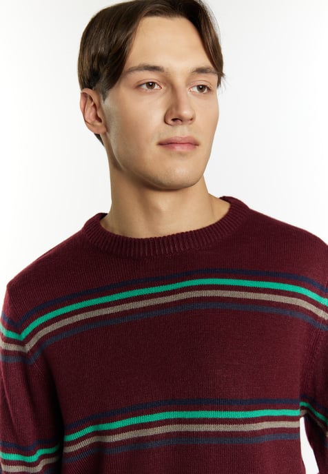 Mo Pullover Herren Bordeaux Mehrfarbig - Image 5