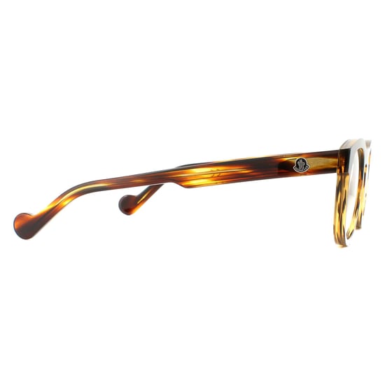 Moncler Round Havana Mens  Glasses Frames