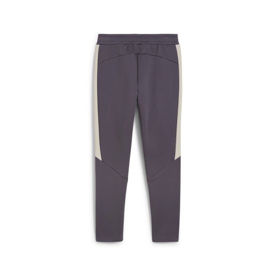 PUMA Mens EVOSTRIPE Pants