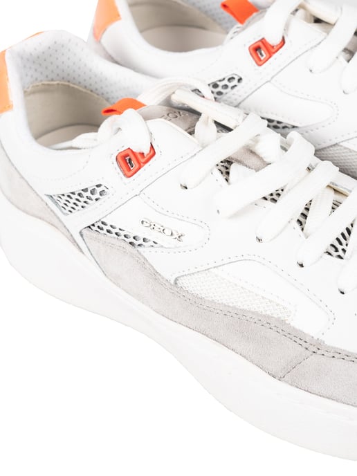 Geox Sneaker Colbyn A Herren Weiß - Image 5
