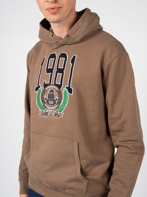 Guess Sweatshirt Men's Brown