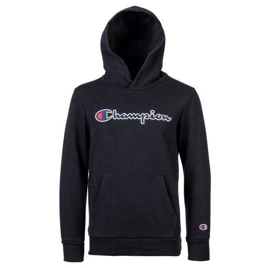 Champion Unisex Hoodie Sweatshirt - Image 3
