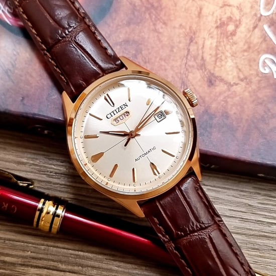 Citizen Braun Herren Armbanduhr NH8393-05AE - Image 4