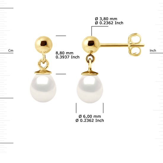 DIADEMA - Earrings - Yellow Gold and Real Freshwater Pearls