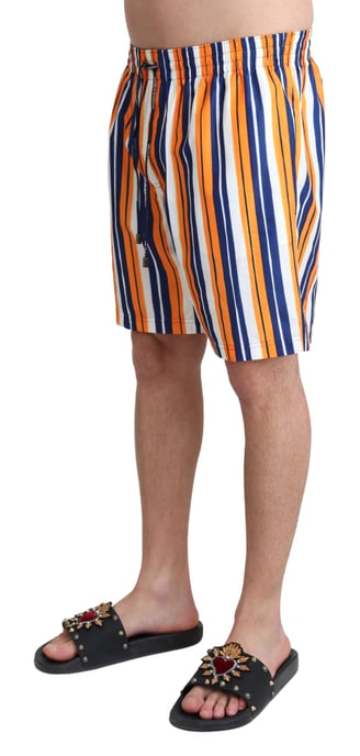 Dolce & Gabbana Men's Multicolor Striped Beachwear Swimshorts