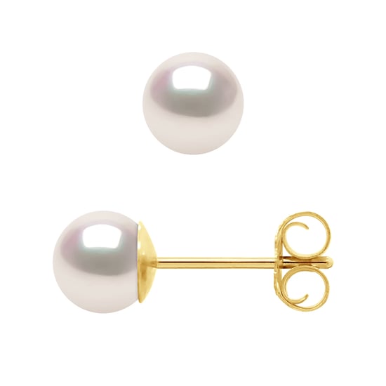 DIADEMA - Earrings - Yellow Gold and Japanese Akoya Cultured Pearl