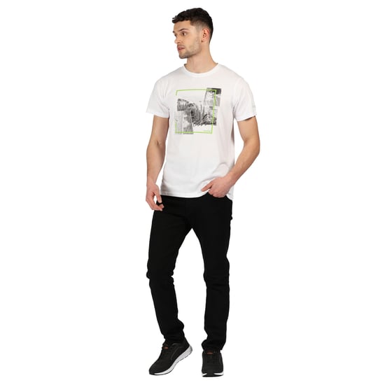 Regatta Mens Cline IV Graphic T-Shirt (White Endless Summer)
