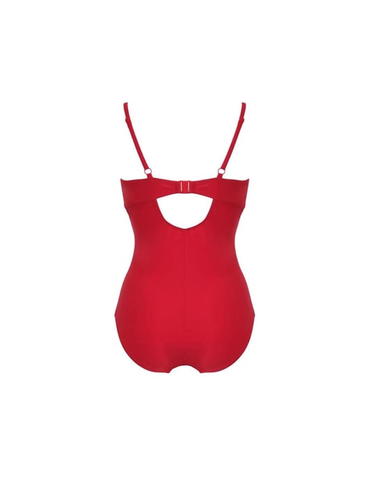 Pour Moi Control Swimsuit