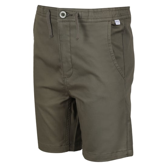Regatta Childrens/Kids Alber Ottoman Shorts (Grape Leaf)