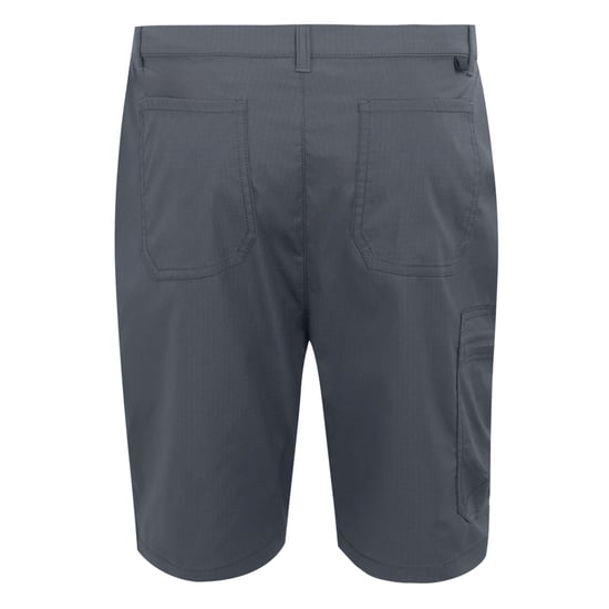 Regatta - "Dalry" Shorts für Herren (Mittelgrau) - Image 2