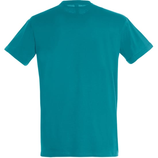 SOLS Herren Regent T-Shirt mit kurzen Ärmeln (Duck Blue) - Image 2
