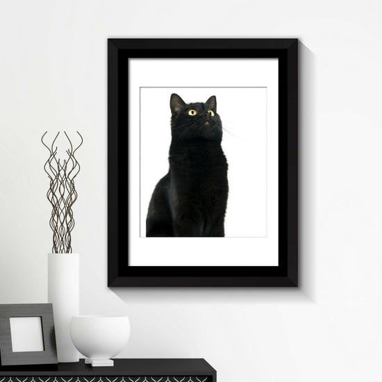 Combo of Framed Art 2in1 Cute Black Cat Poster Framed Photo, Framed Art